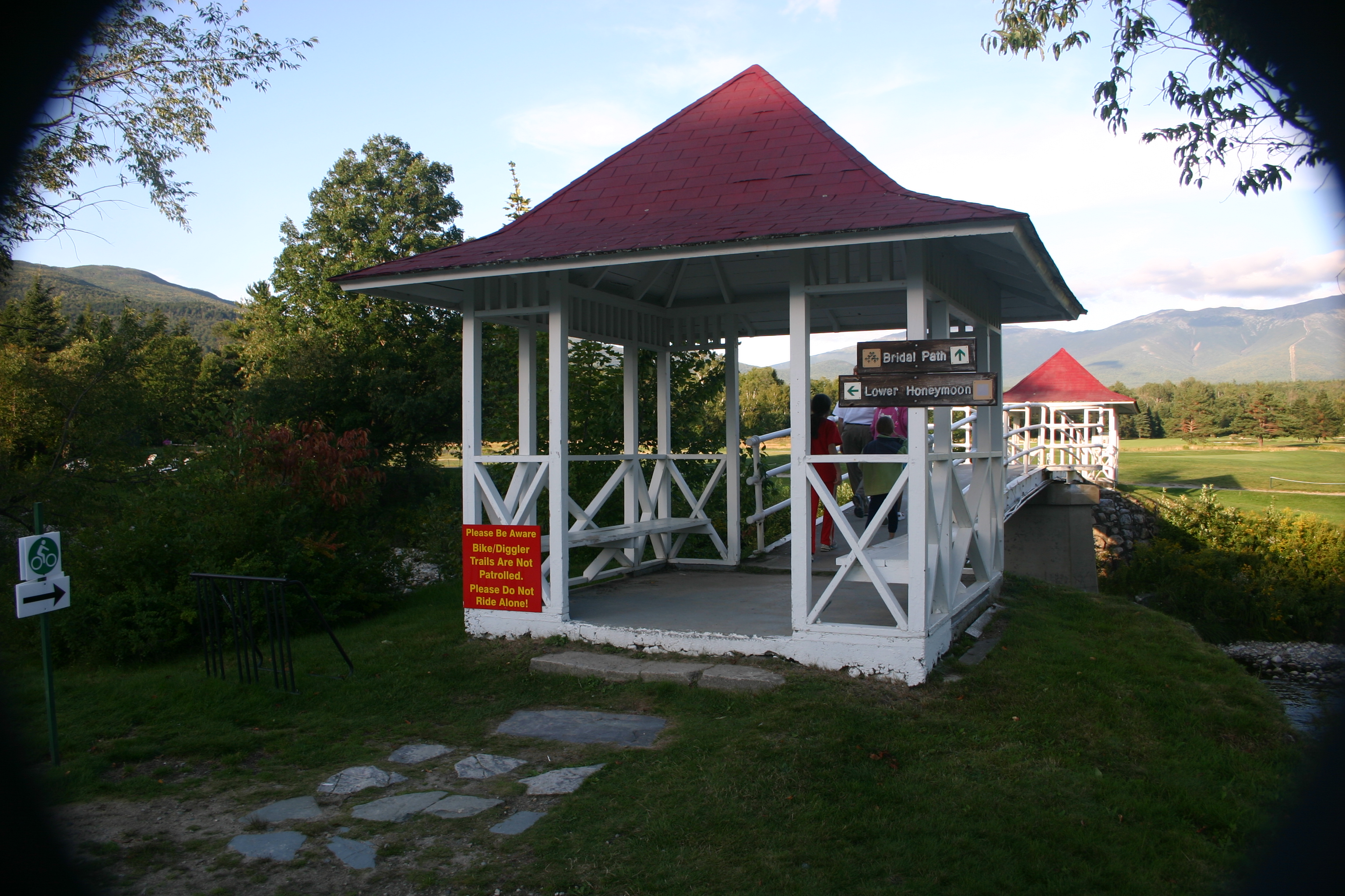 picture 31.